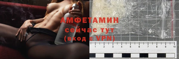 шишки Коряжма