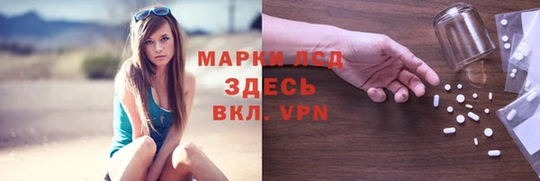 шишки Коряжма