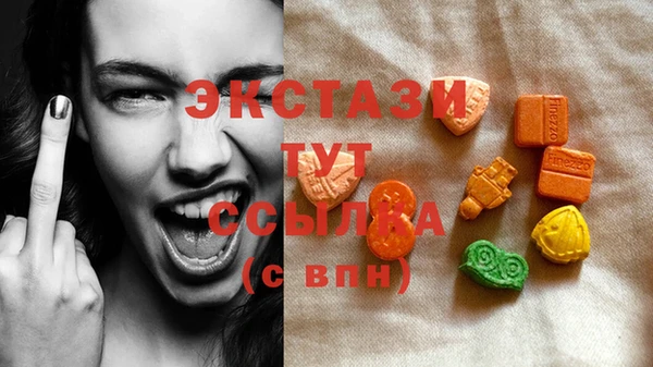 шишки Коряжма