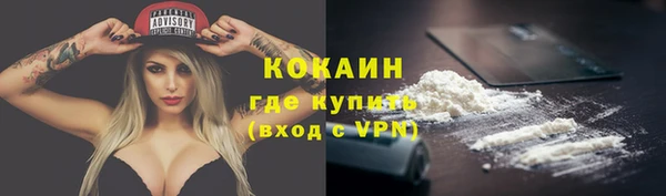 шишки Коряжма