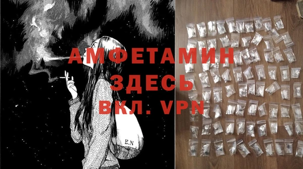 шишки Коряжма