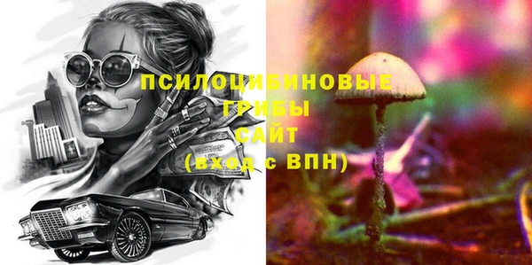 шишки Коряжма