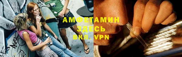 шишки Коряжма