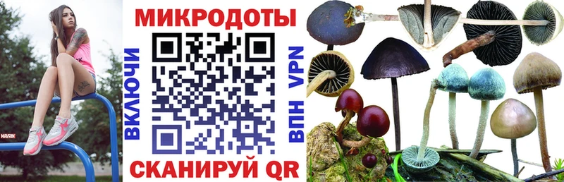 Купить  Апрелевка  Галлюциногенные грибы MAGIC MUSHROOMS 